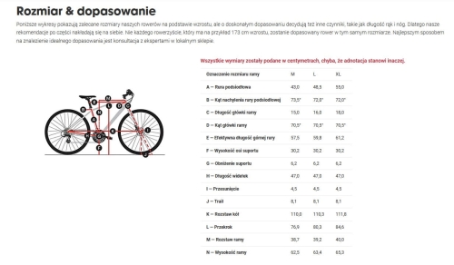 Ubari DLX męski geometria.jpg