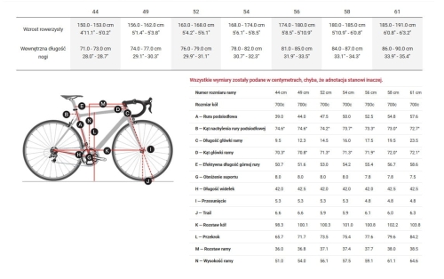 domane geo.jpg