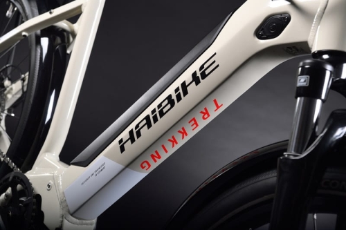 Haibike-MY21-Detail-Battery-Trekking-4-Lowstep.jpg