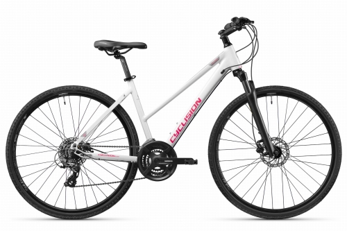 ZA4 - 41 Snowberry.jpg