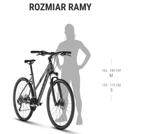 rozmiar ramy kellys pheebe .jpg