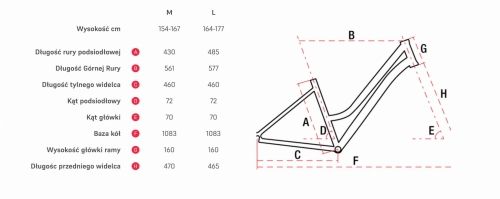 geometria Gazela MM.jpg