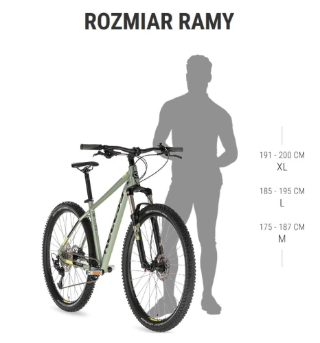 spider  50 rozmiar ramy.jpg