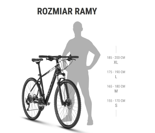 Phanatic 10 2023 rozmiar ramy 1.jpg