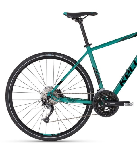 Phanatic 30 2023 teal 1.jpg