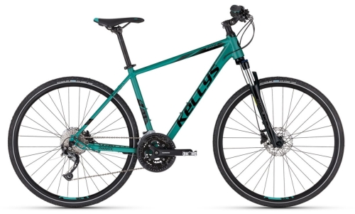 Phanatic 30 2023 teal.jpg