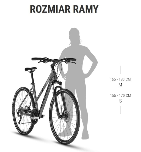 Pheebe 10 rozmiar ramy.jpg
