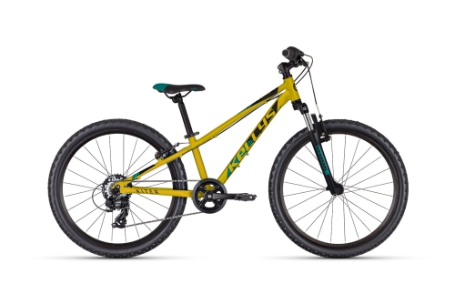24_Kiter_50_yellow.jpg