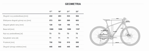 geometria Zethos.jpg