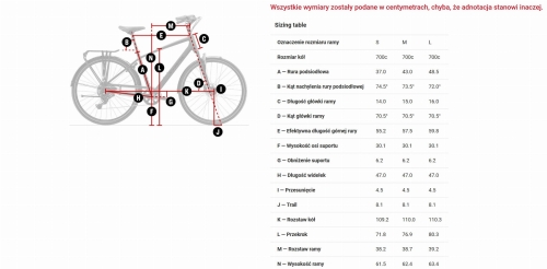 verve lowstep geometria.jpg