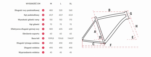 geometria wagant 2023.jpg