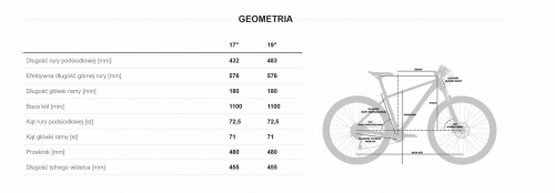 geomertia vision lds.jpg