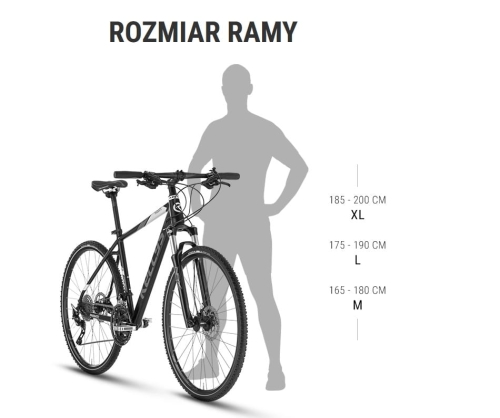 geometria ramy Phanatic 1.jpg