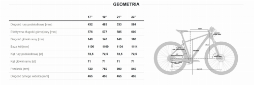 geometria ramy voyager męski.jpg
