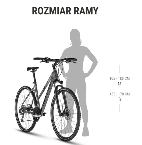 clea 10 rozmiarówka.jpg