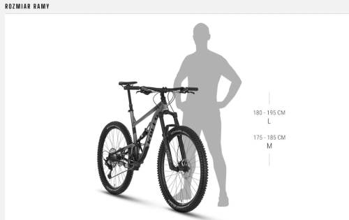 thorx geometria rozmiar ramy.jpg