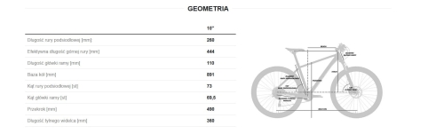twist geometria.jpg