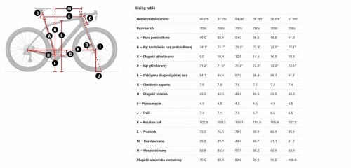 checkpoint geometria.jpg