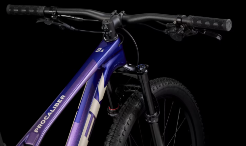 procaliber 9.5 3.png