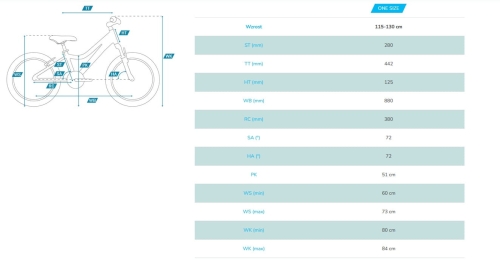 poison 20 lite geometria.jpg