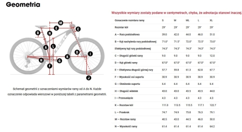geometria.jpg