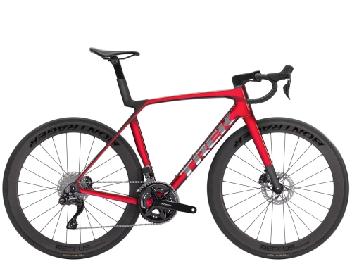 madone1.jpg
