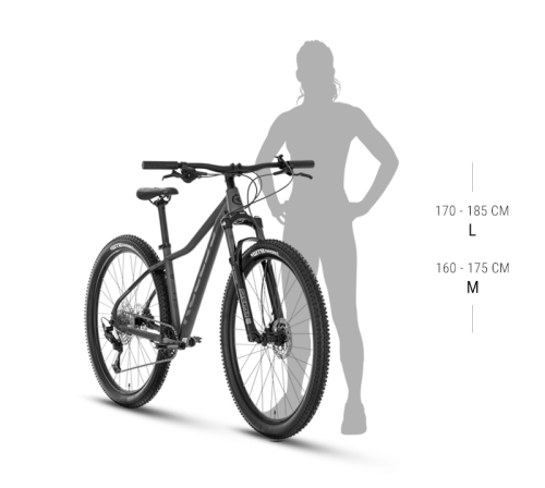 10973_product-size-VANITY-29-ML.png