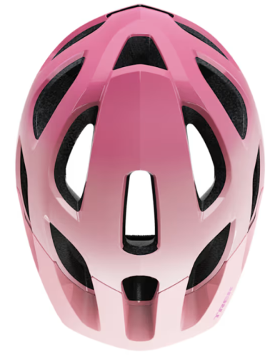 Blush Pink Frosting 5.png