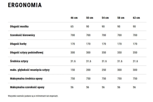 ergonomia.jpg