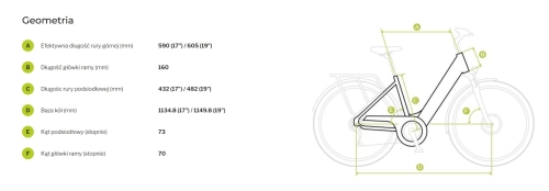 LX 100 geometria ramy.jpg