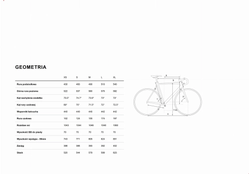 geometria ramy nuroad c62 ex.jpg