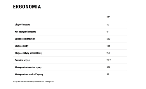 acid 200 disc ergonomia.jpg