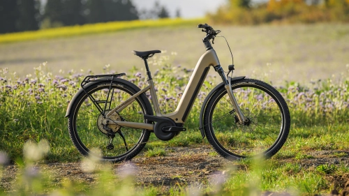 CUBE 110212 Nuride Hybrid Pro 800 easy entry flashstone chrome  6.jpg