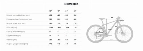 geometria flash gts.jpg