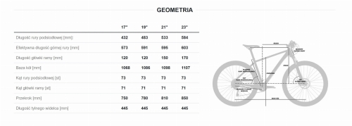 geometria flash gts.jpg