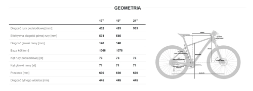 geometria flash lds.jpg