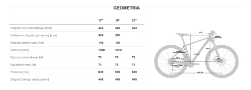 geometria flash lds.jpg