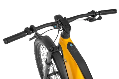 Rower elektryczny Ecobike RX 500 MAX Yellow SUV 13.jpg