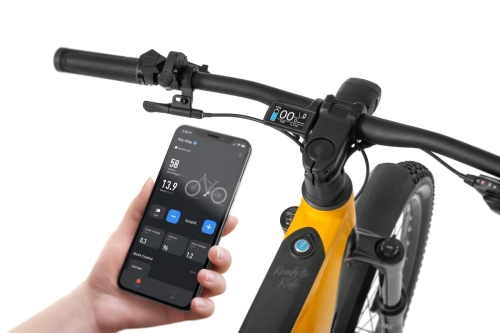 Rower elektryczny Ecobike RX 500 MAX Yellow SUV 6.jpg