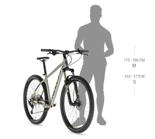 spider 30 275.jpg