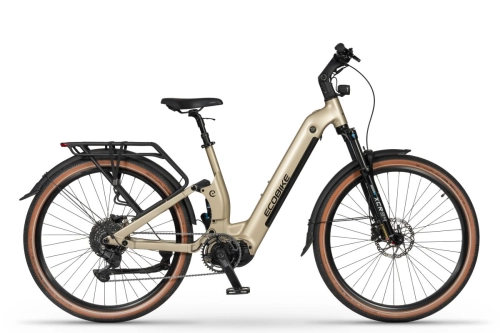 ecobike-flex-titan-1.jpg