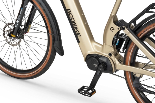 ecobike-flex-titan-1-.jpg
