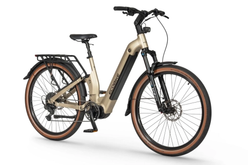 ecobike-flex-titan-2.jpg