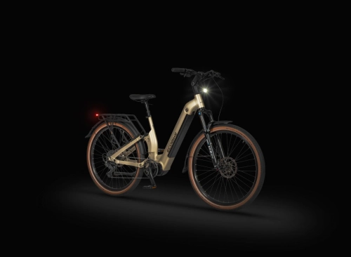 ecobike-flex-titan-3.jpg
