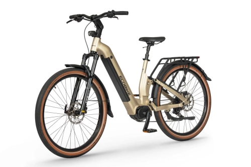 ecobike-flex-titan-4.jpg
