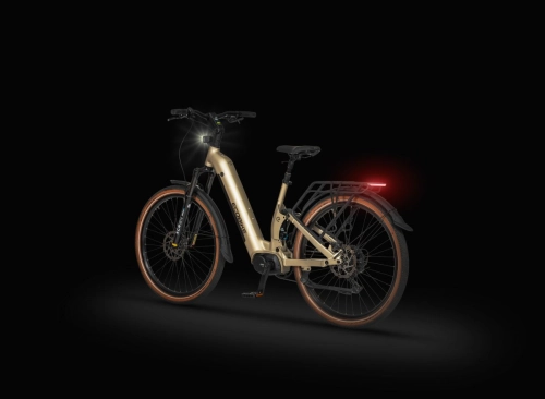 ecobike-flex-titan-5.jpg