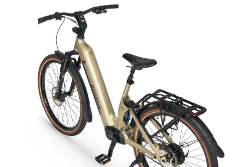 ecobike-flex-titan-6.jpg