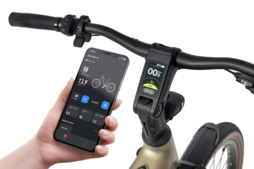 ecobike-flex-titan-7.jpg