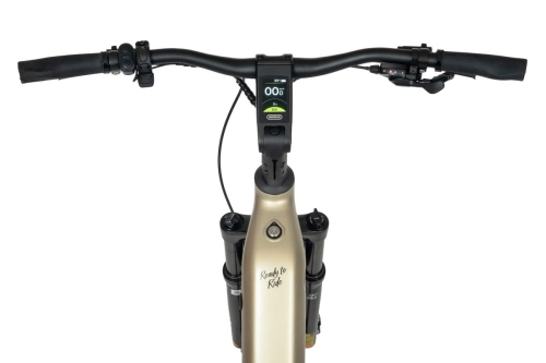 ecobike-flex-titan-12.jpg