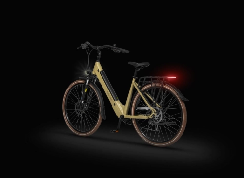 ecobike-x-city-cappucino-5.jpg